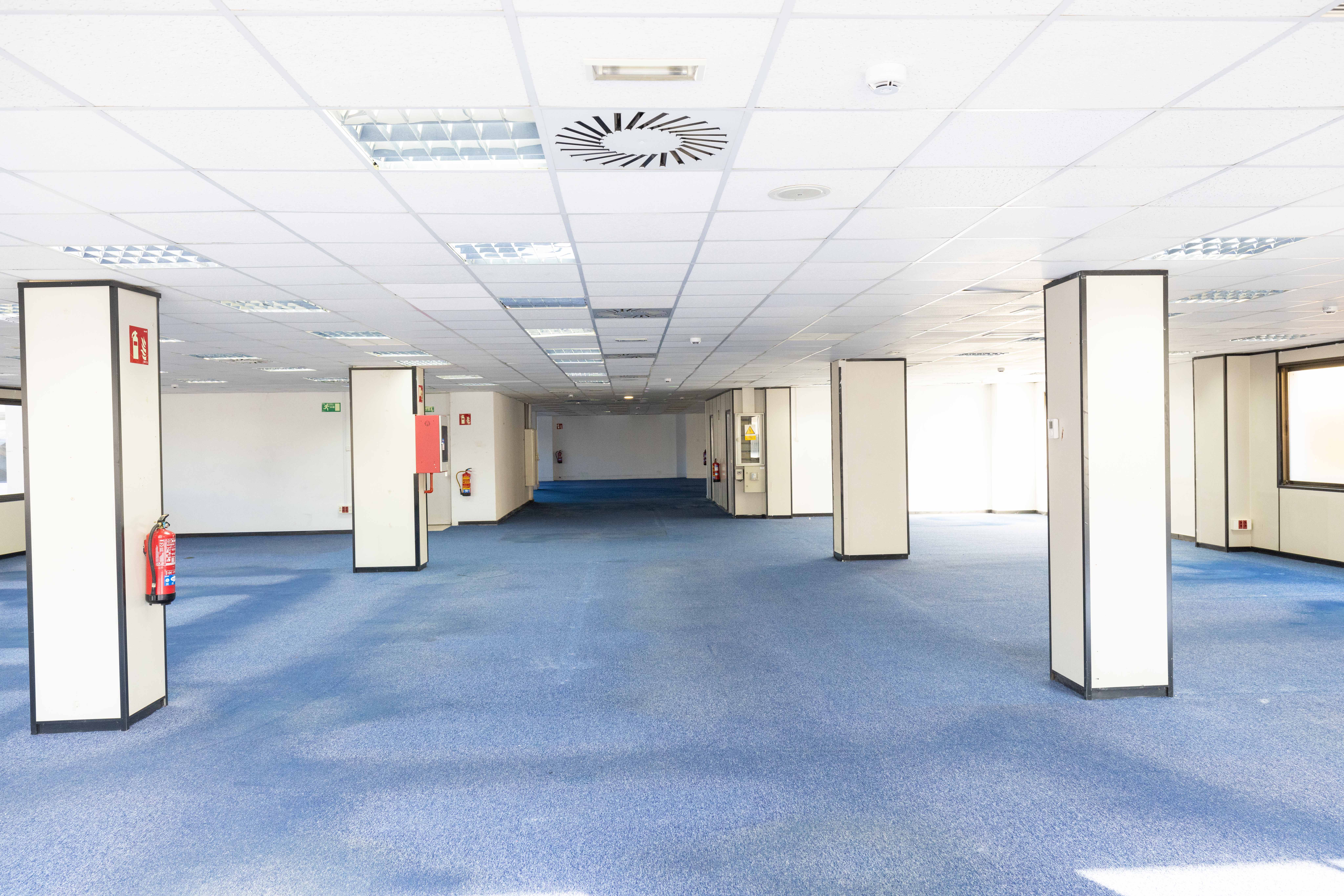 La granja, 8 11 La granja, 8 11